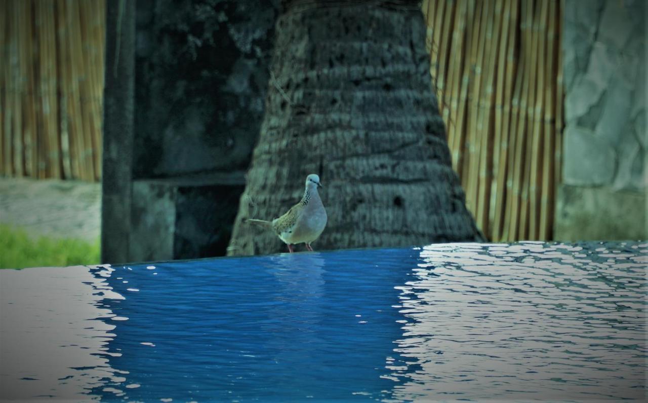 Bali Bhuana Beach Cottages Amed  Ngoại thất bức ảnh